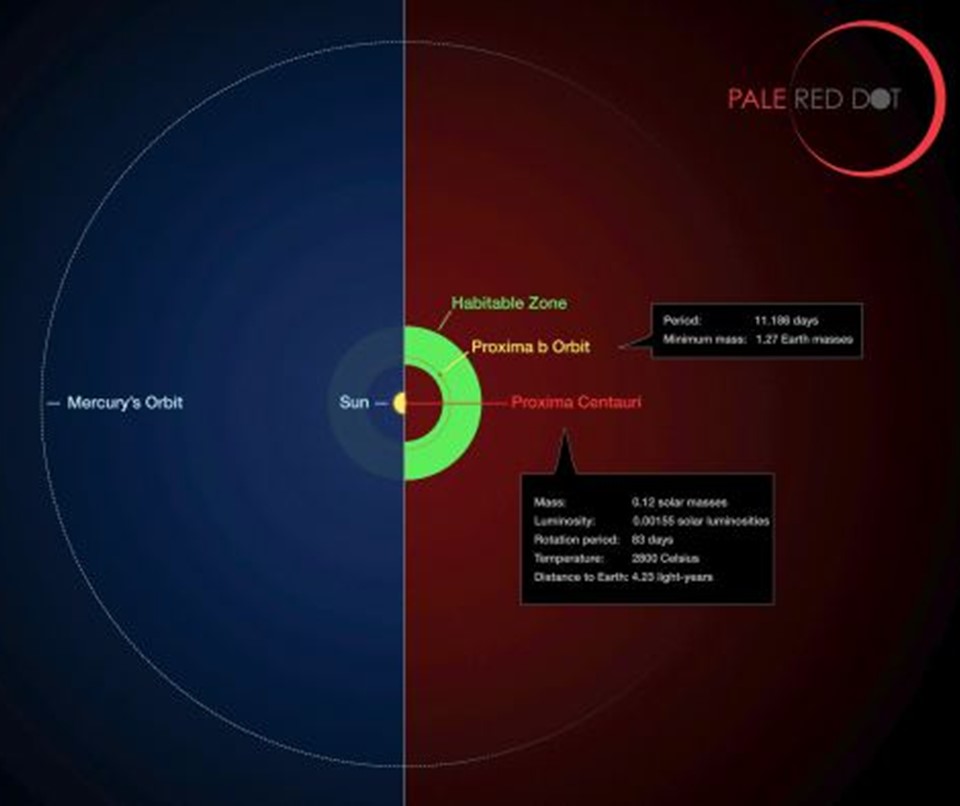 This infographic compares the orbit of the planet around Proxima Centauri (Proxima b) with the same region of the Solar System.