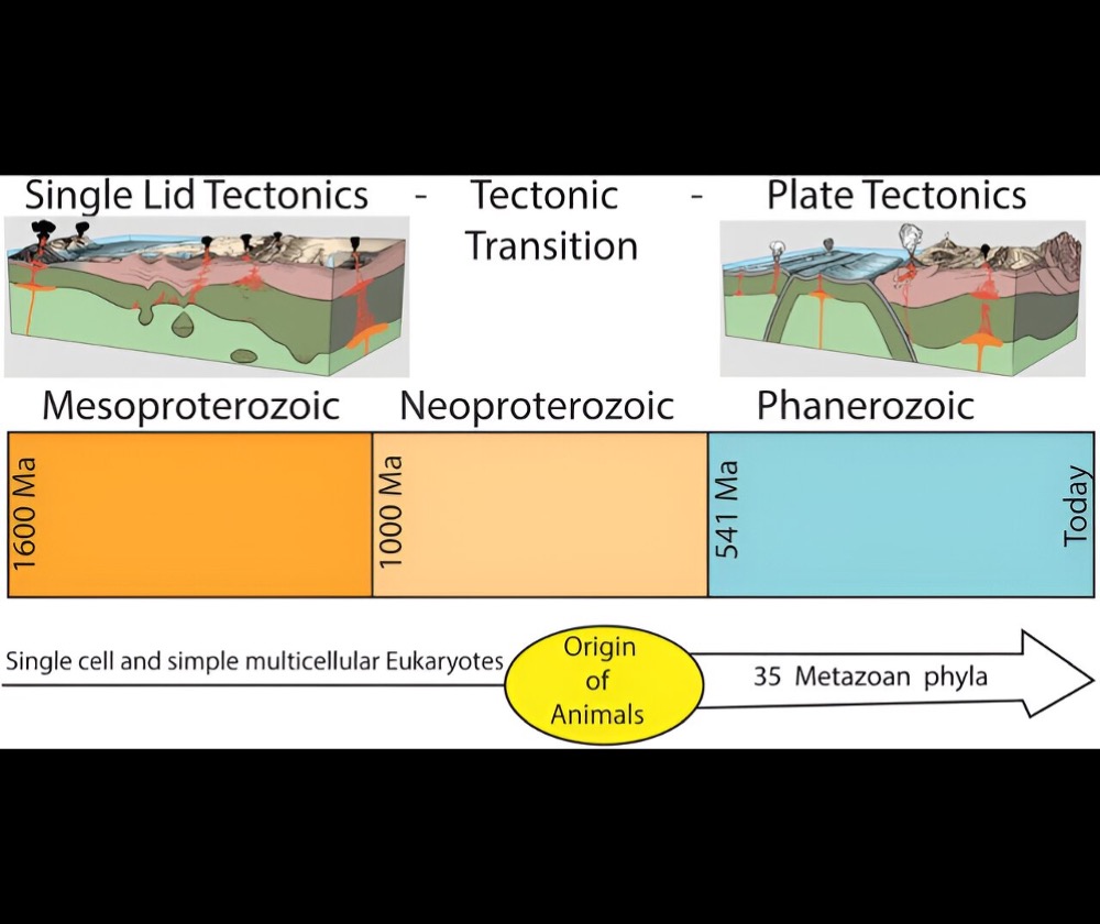 Graphic depicting the last 1.6 billion years of Earth’s tectonic history