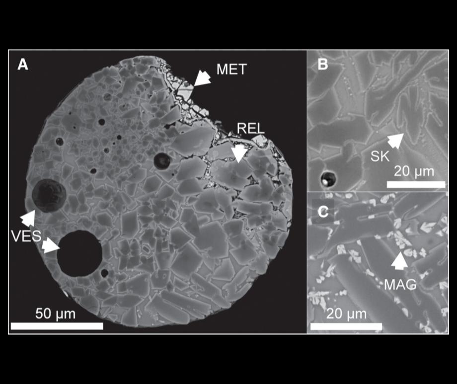 Image credit: Science Advances