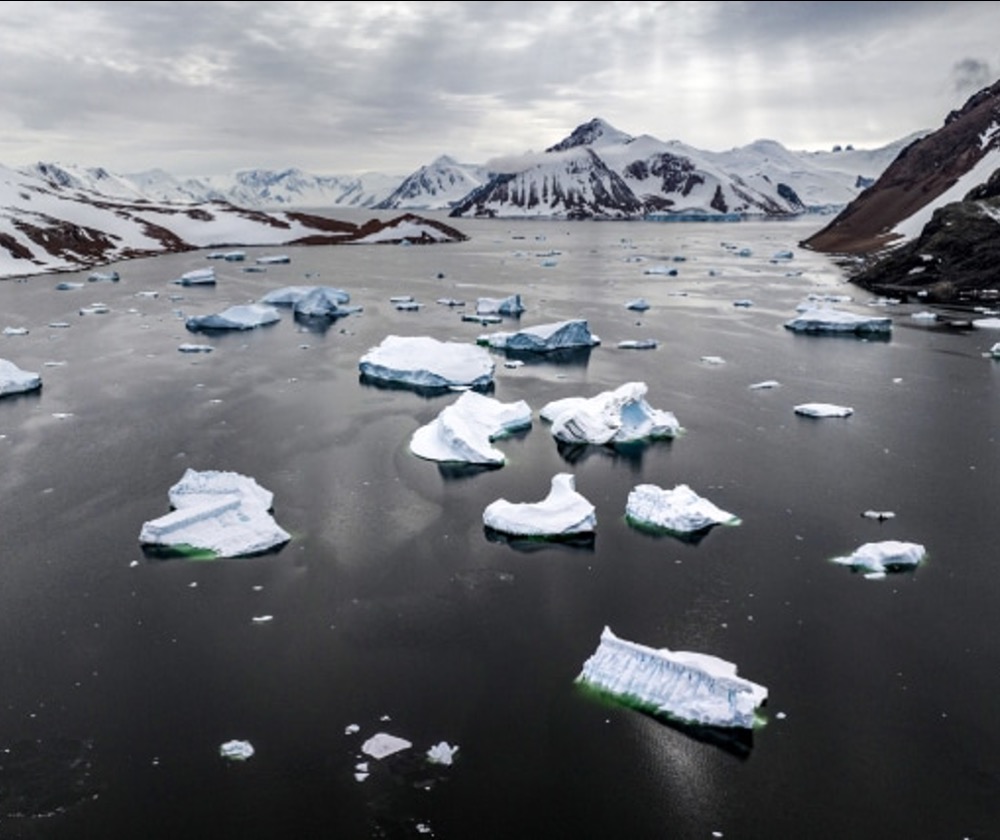 Melting ice cuticles in Antarctica on Feb. 8