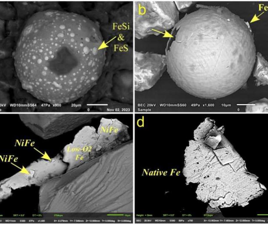 Examples of Fe-rich and silica-rich impact microspherules (a and b) and metallic dust particles (MDPs; c and d) interpreted as cometary dust from Baffin Bay cores