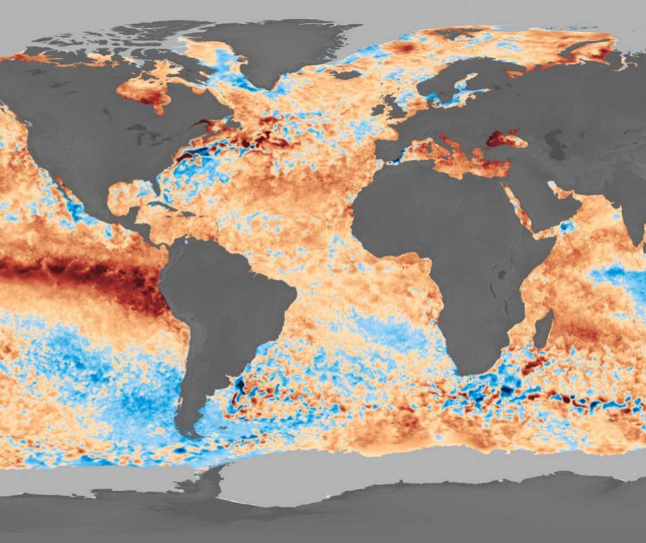 Sea surface temperatures on 29 October 2023