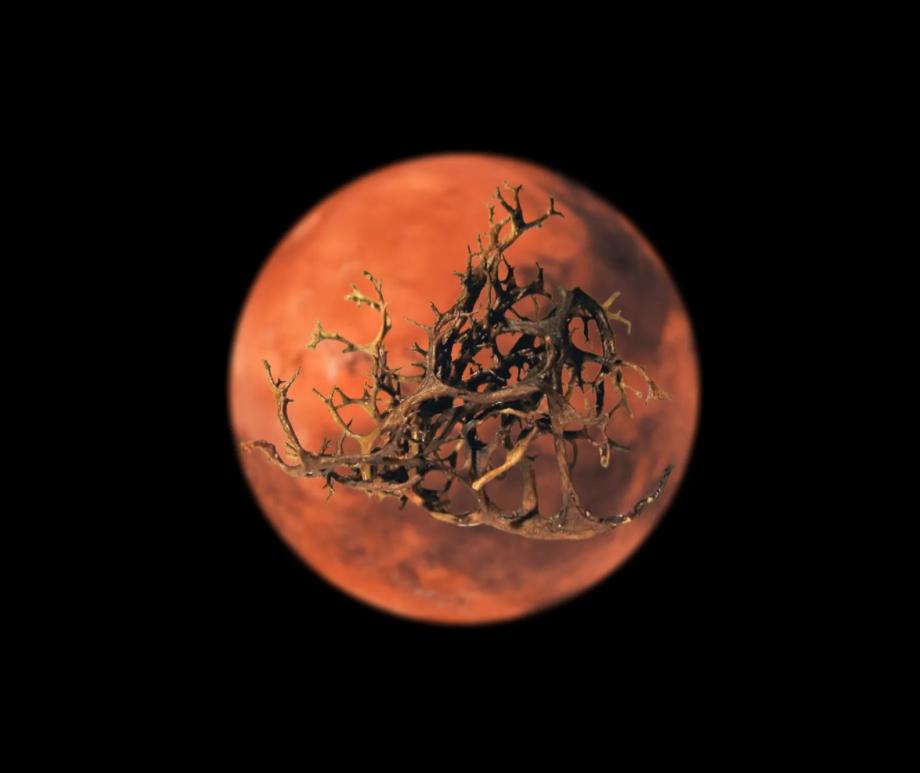 A new study has revealed that lichens can withstand the intense ionizing radiation that hits Mars' surface