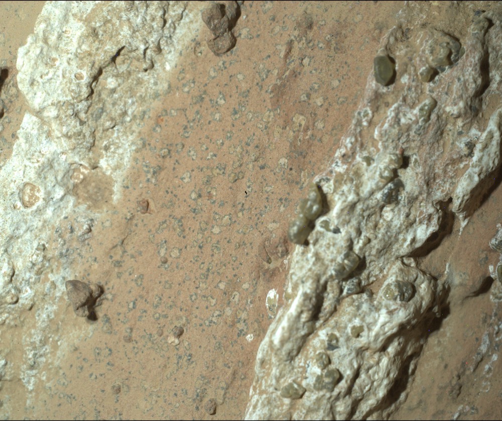 A close-up of the Mars rock, nicknamed 'Cheyava Falls', showing its distinctive spots