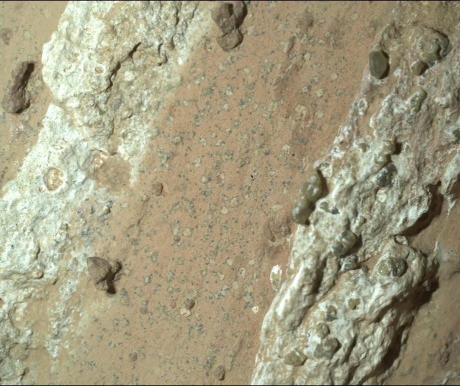 NASA's Perseverance rover discovered leopard spots on a reddish rock nicknamed 'Cheyava Falls' in Mars' Jezero Crater in July 2024