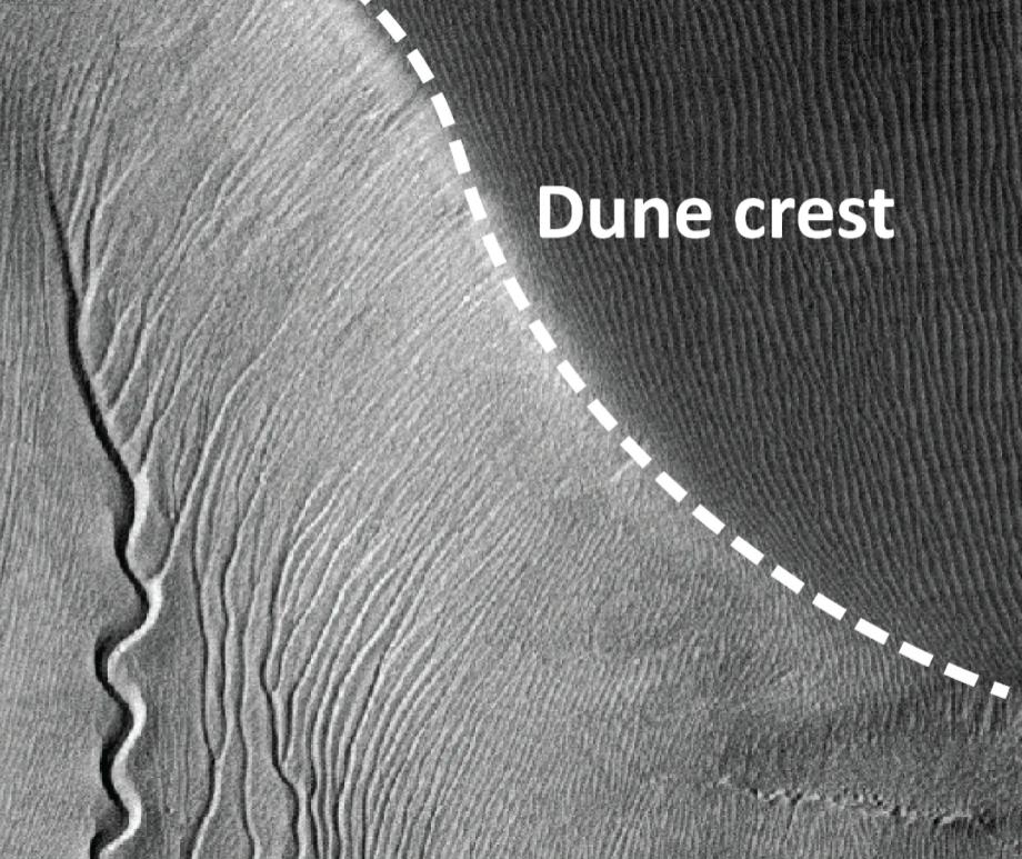 Satellites see winding gullies etched across sand dunes on Mars. (Image credit: NASA/JPL/University of Arizona)