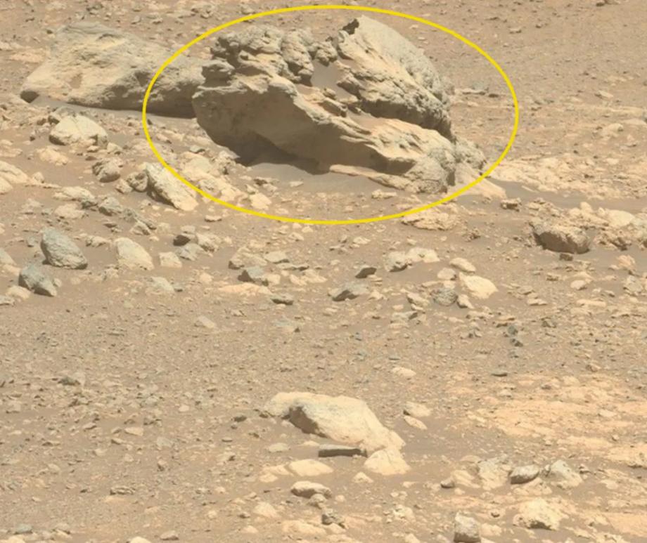 NASA’s Mars Curiosity rover discovered symmetric ripple marks at two separate spots within the Red Planet’s Gale Crater