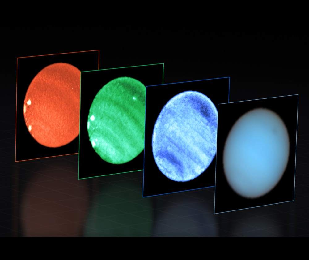 A sequence of images of Neptune taken in different wavelengths