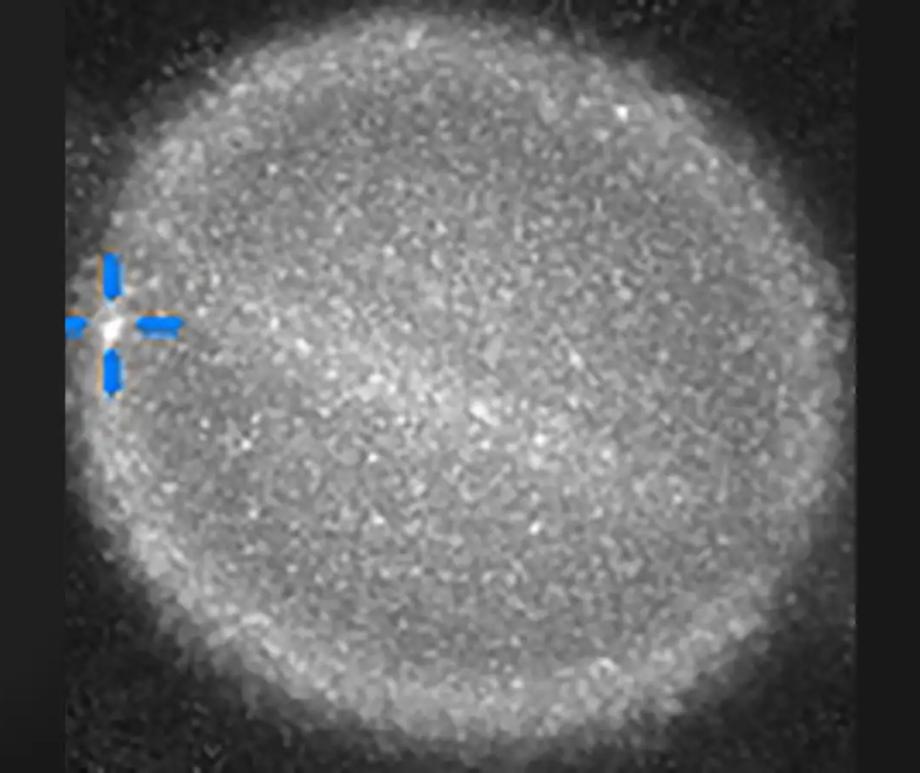 Is the flash highlighted in blue a data glitch, or something more?