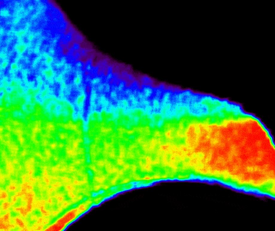 New images from NASA's CODEX solar telescope have revealed never-before-seen fluctuations within the sun's atmosphere 