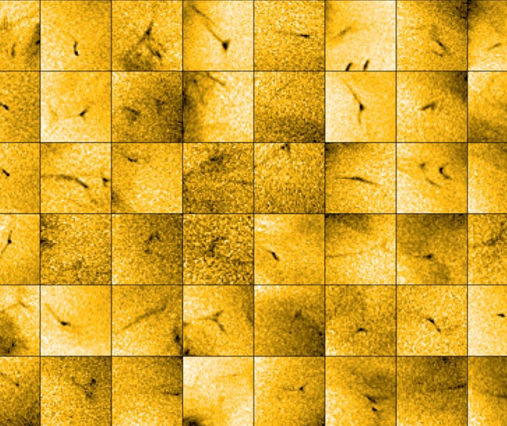 This mosaic of images taken by Solar Orbiter shows tiny jets of material, depicted as dark streaks, escaping from the sun’s outer atmosphere
