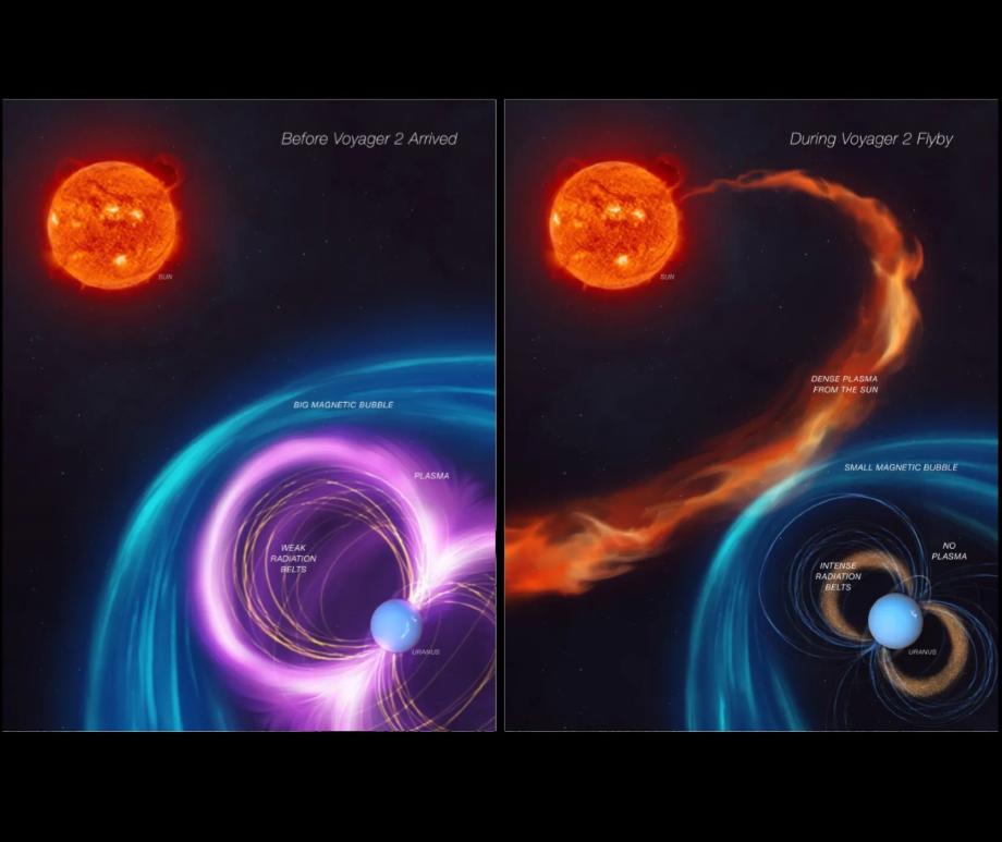 How a co-rotating interaction region could have energized Uranus's radiation belts and compressed its magnetosphere just as Voyager 2 was flying past.