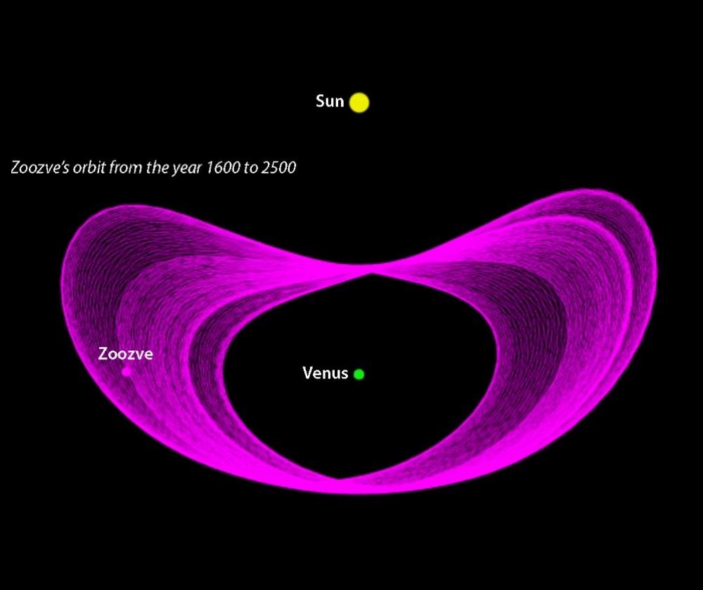 The orbital path of Zoozve, formerly known as Asteroid 2002VE68. As it goes around the Sun, it also loops around Venus